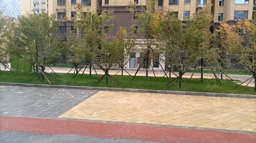 拉克雷公馆最新消息,拉克雷公馆适宜投资吗