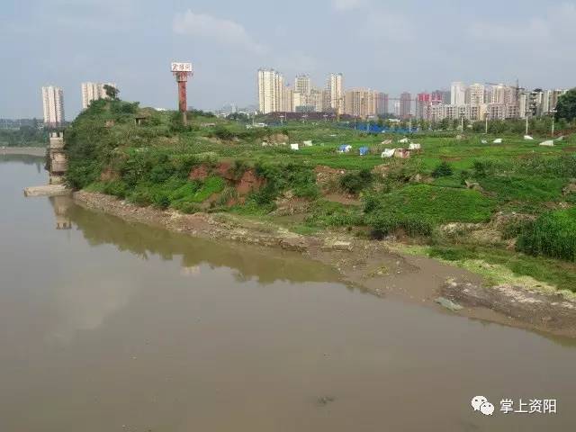 第8488页