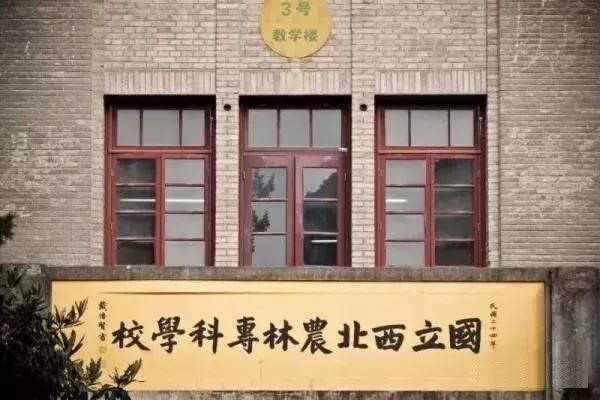 第8718页