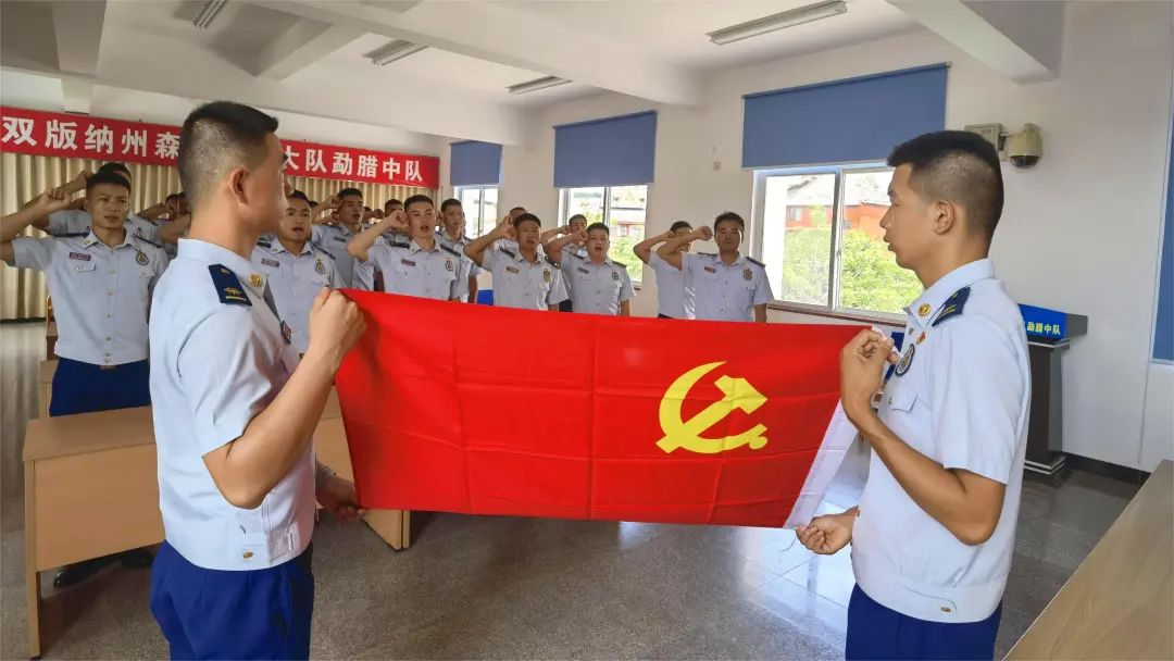 最新入党志愿书，政治信仰的深刻表达与时代的见证