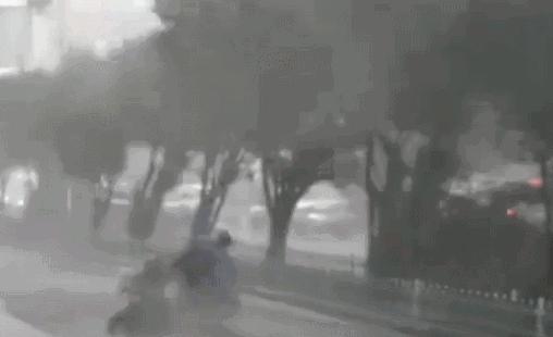 台风最新消息路径图，了解热带气旋的三大要点与应对策略
