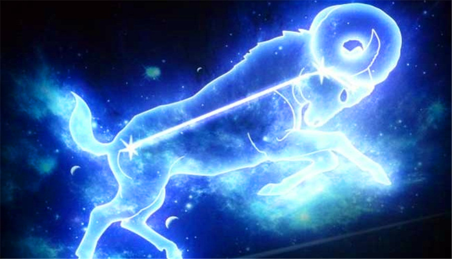 摩羯座最新动态揭秘，开启全新篇章