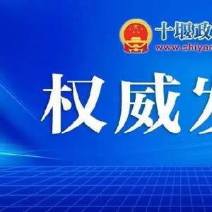 湖北最新人事任免及指南概览