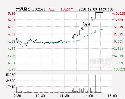大湖股份最新动态与小巷深处的独特风味探秘