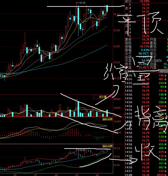 张江高科最新利好消息深度解析与未来展望