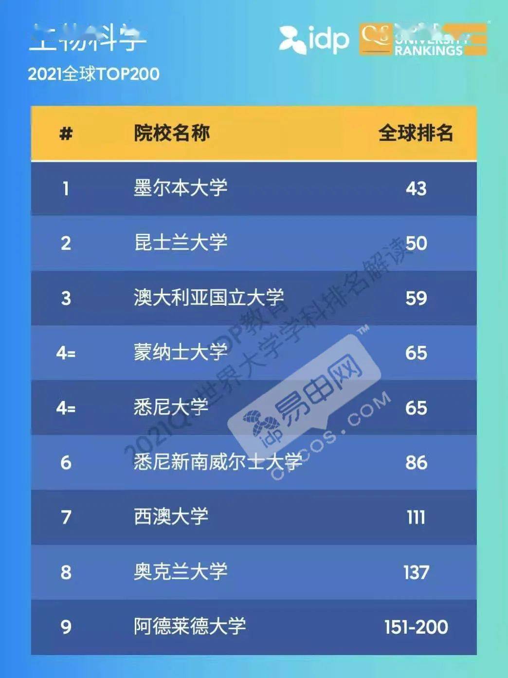 重磅更新，世界大学最新排名发布🌍📚✨