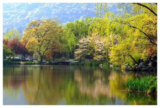 最新大盘分析与自然美景的旅行探索报告