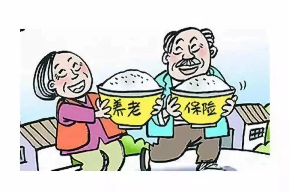 最新养老金上调消息，影响与展望——某某观点阐述