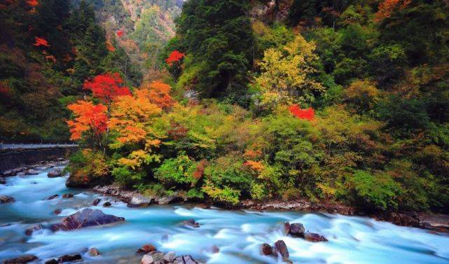 自然美景 第4页