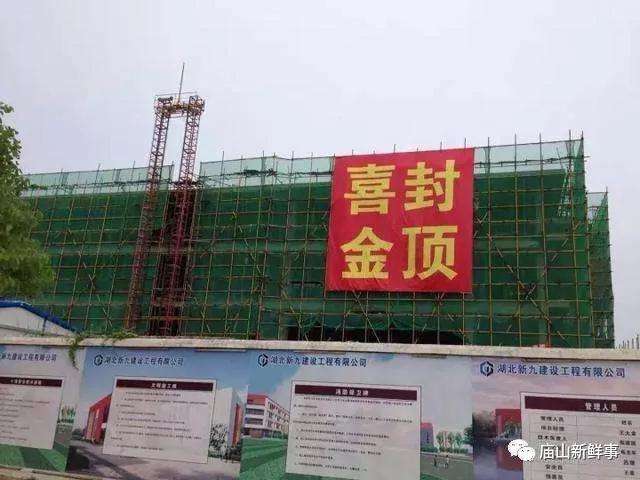 庙山最新动态更新