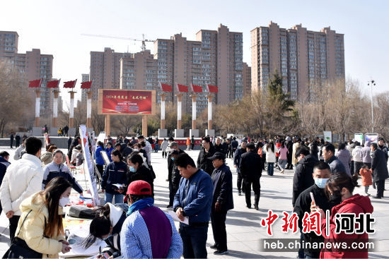 清苑最新招聘信息汇总