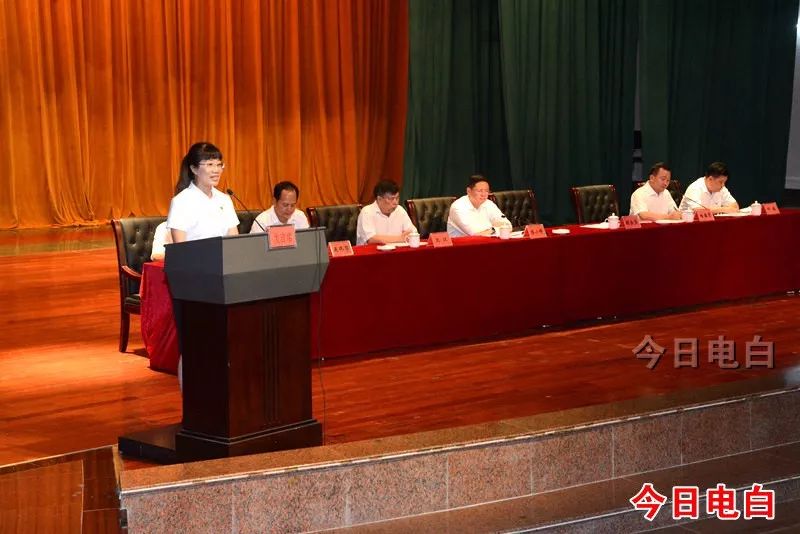 电白区最新新闻报道