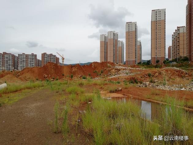 光明地产开启自然美景探索之旅，寻找内心的宁静与平和