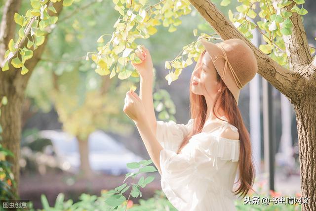 自然美景探索 第8页