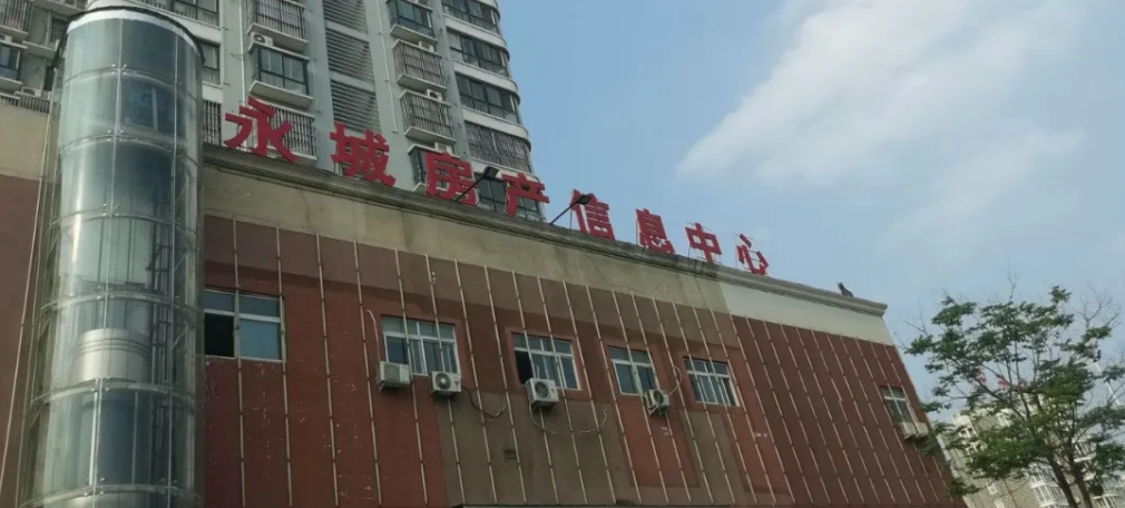 新能源汽车最新新闻 第261页