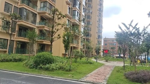 湖畔温馨时光