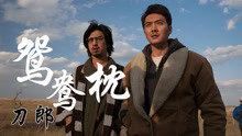 新能源汽车最新新闻 第223页