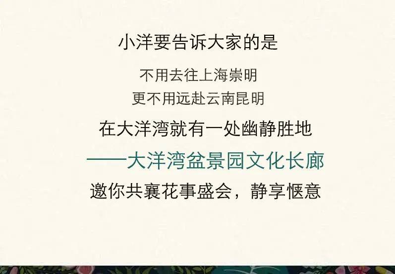 柳若兰，自然之美与人生哲理的探索者
