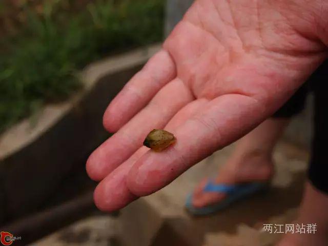 新能源汽车最新新闻 第205页