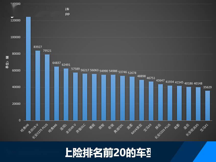 涨粉视频最新趋势与观点论述