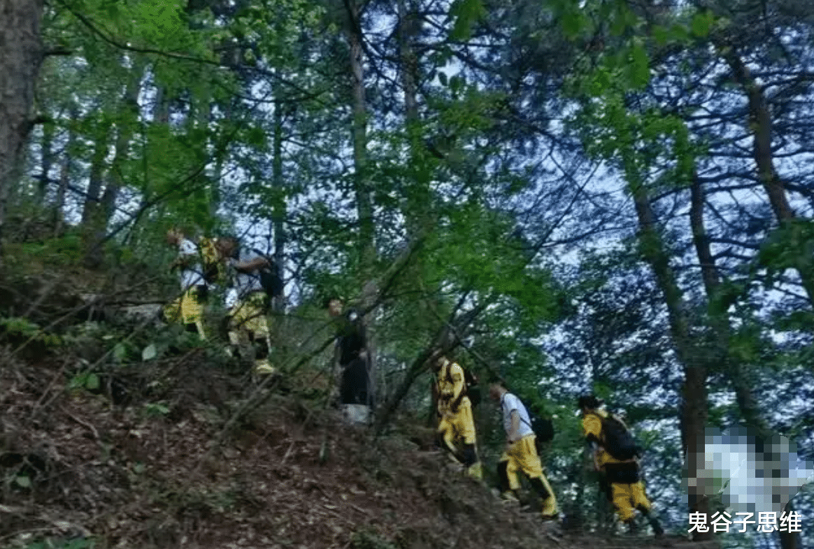 查山最新事件，自然美景的探索之旅