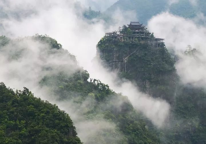 青蔷最新章节，探索自然美景之旅，寻找内心平和之地