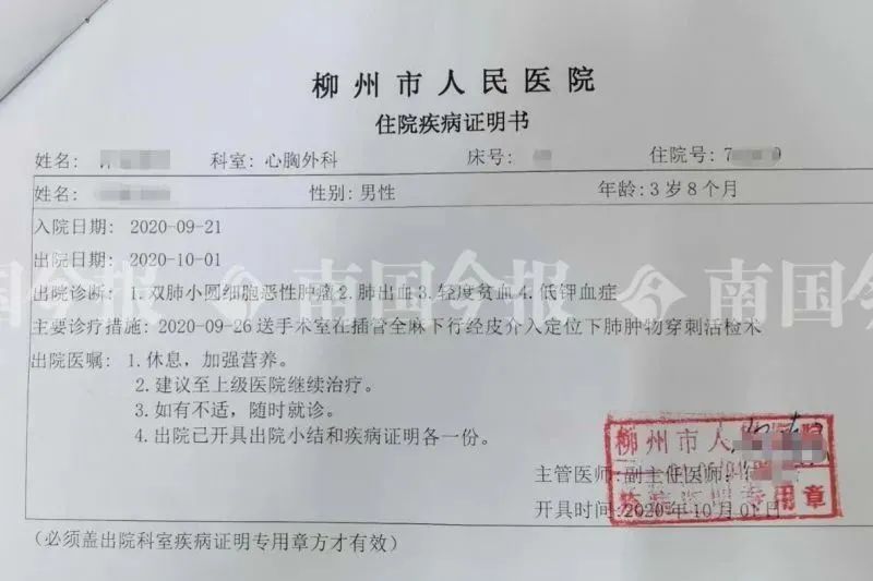 小巷独特风味之旅，探寻确诊病例最新通报背后的故事