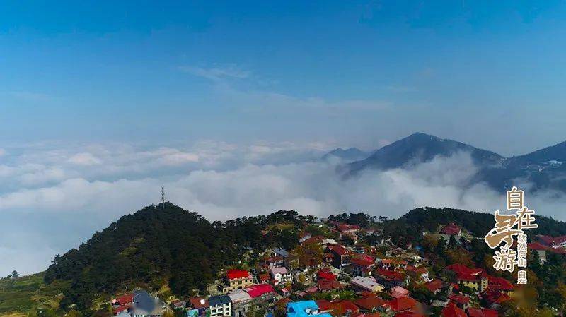 广东茂名最新事件，自然美景探索之旅，寻求内心平和与宁静