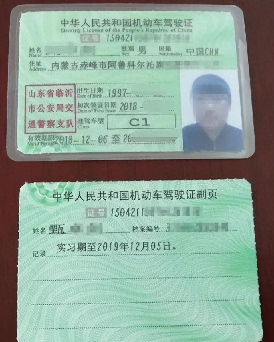 最新车管所揭秘，小巷中的隐藏服务
