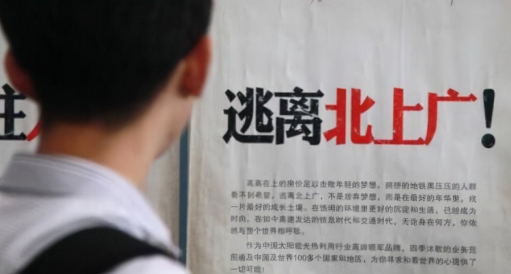 最新两集安家，都市生活的微观洞察