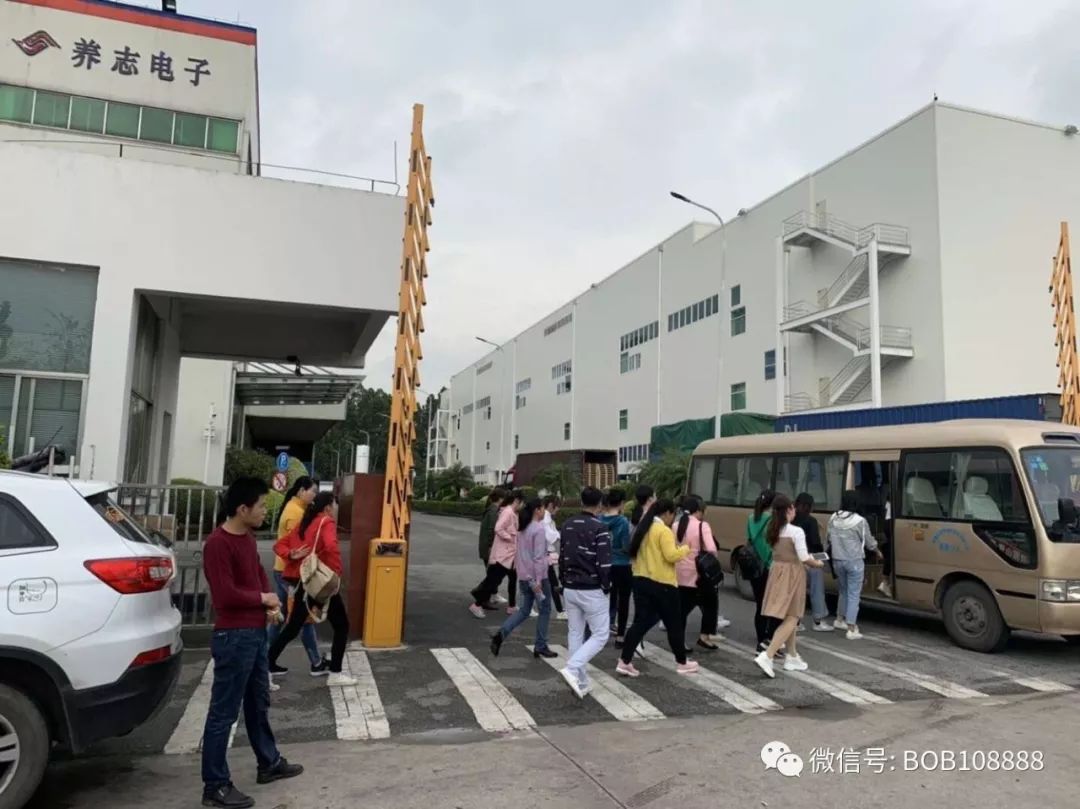 求职之旅