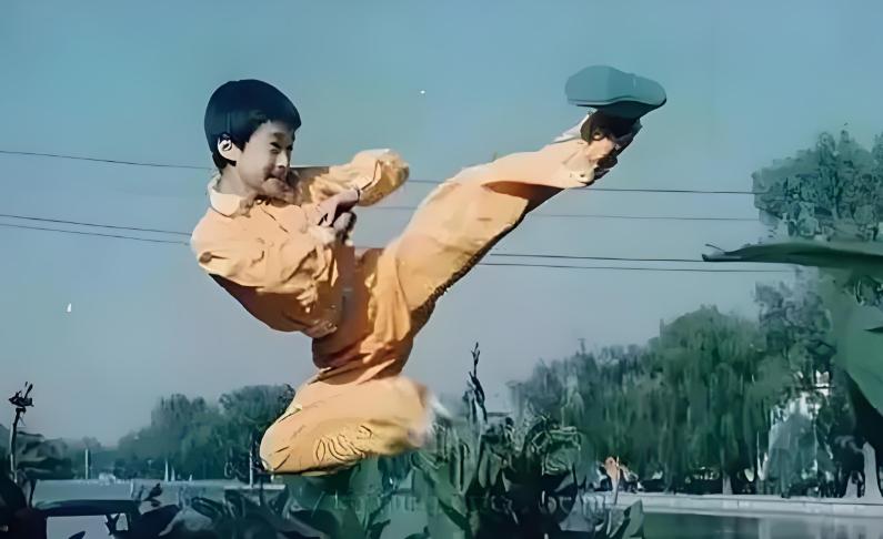 战狼电视剧，自然美景的探索之旅，内心平和的追寻