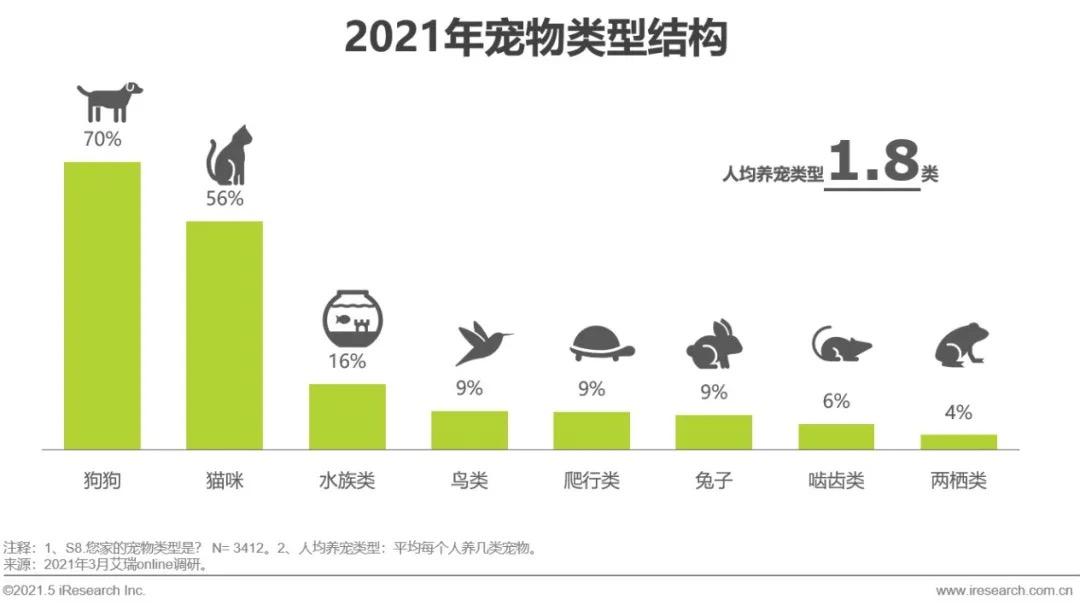 宠物用品市场繁荣背后的故事与行情分析