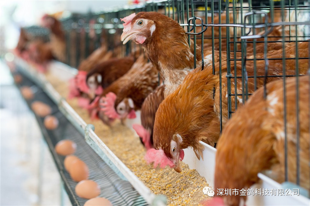 新能源汽车最新新闻 第154页