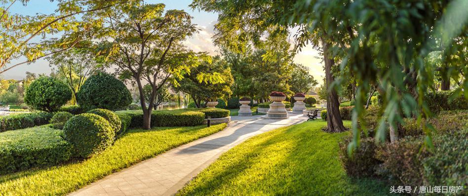 恒大学庭最新动态更新速递