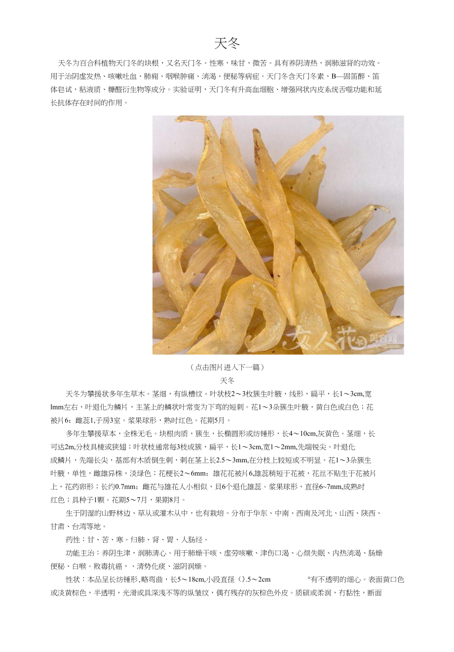 天冬价格行情，变化中的机遇，成就感的源泉