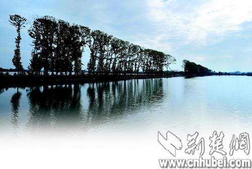 黄冈市白潭湖动态资讯，励志前行，成就梦想之湖的最新进展