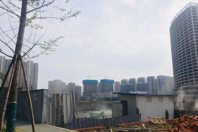 成都大丰楼盘价格揭秘，背后的温情故事与楼市动态