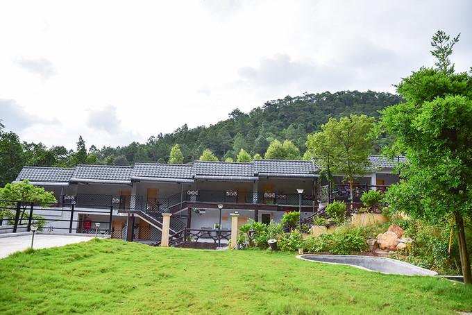 鹤山最新楼价，与自然美景相遇，寻找内心平和的居所