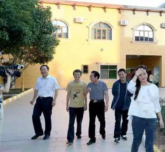 王林最新动态获取指南，初学者与进阶用户必读