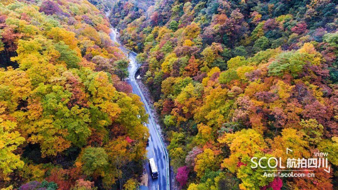 光雾山旅游攻略大全，最新攻略与游玩指南