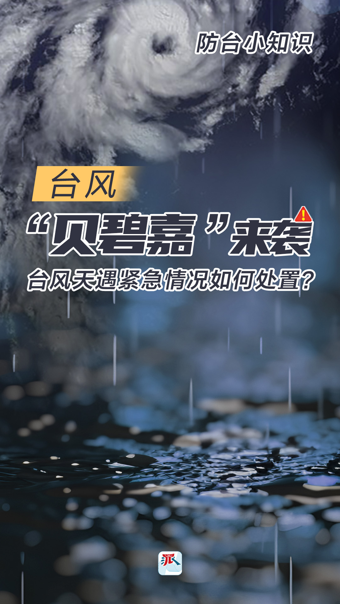 最新台风贝碧嘉与温馨家园的交织故事