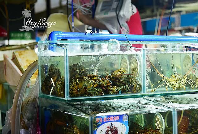 13号台风路径下的惊喜探索，小巷特色小店