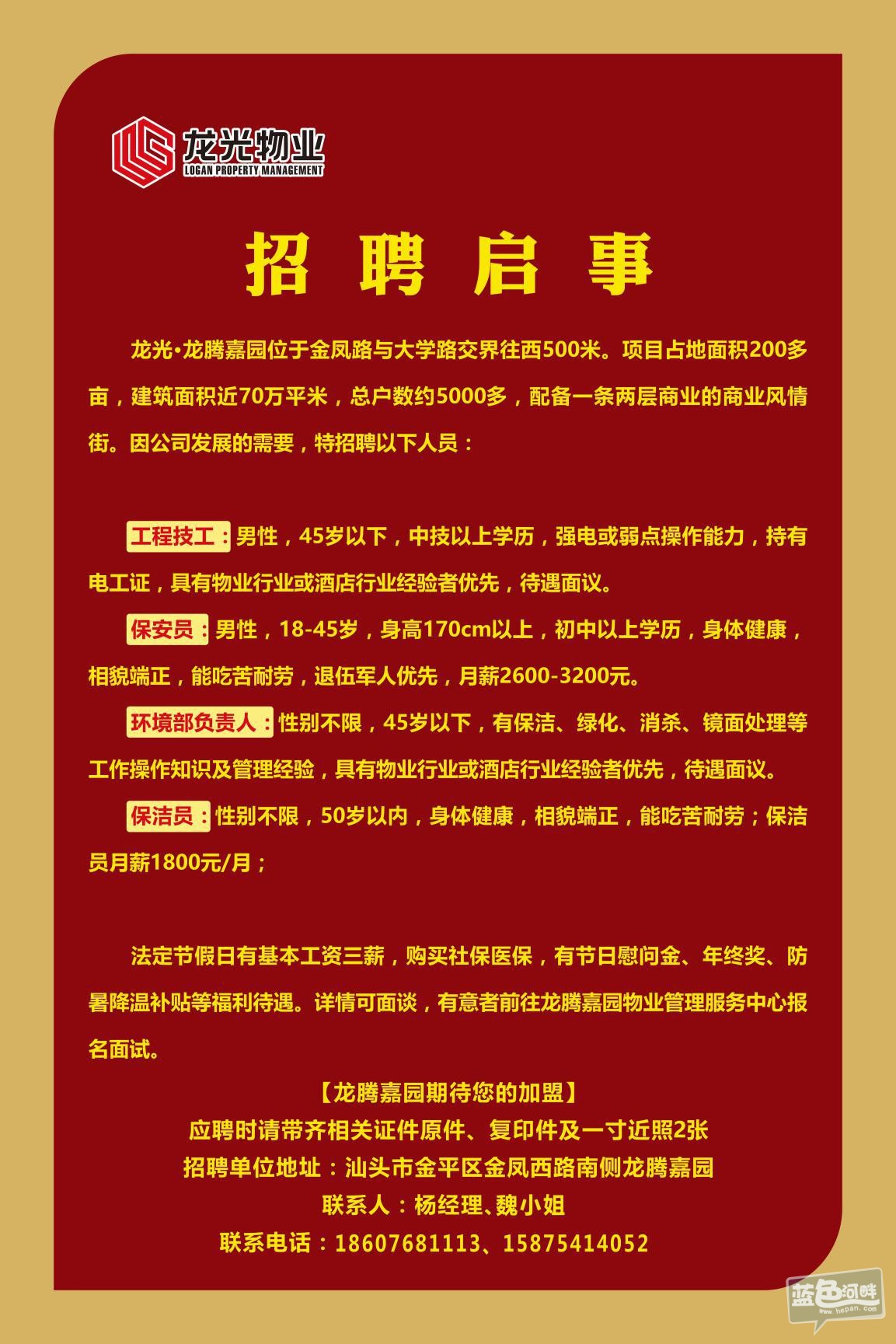 上海招聘网最新招聘启事背后的故事与机遇