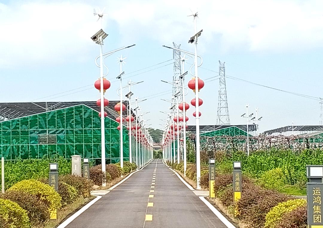 运鸿集团最新动态速递，最新消息一览📣🚀