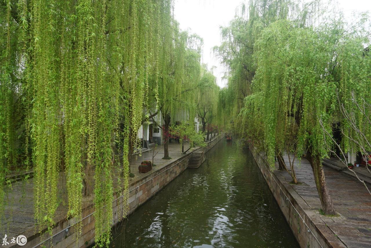 东方集团，时代印记下的最新动态与未来展望