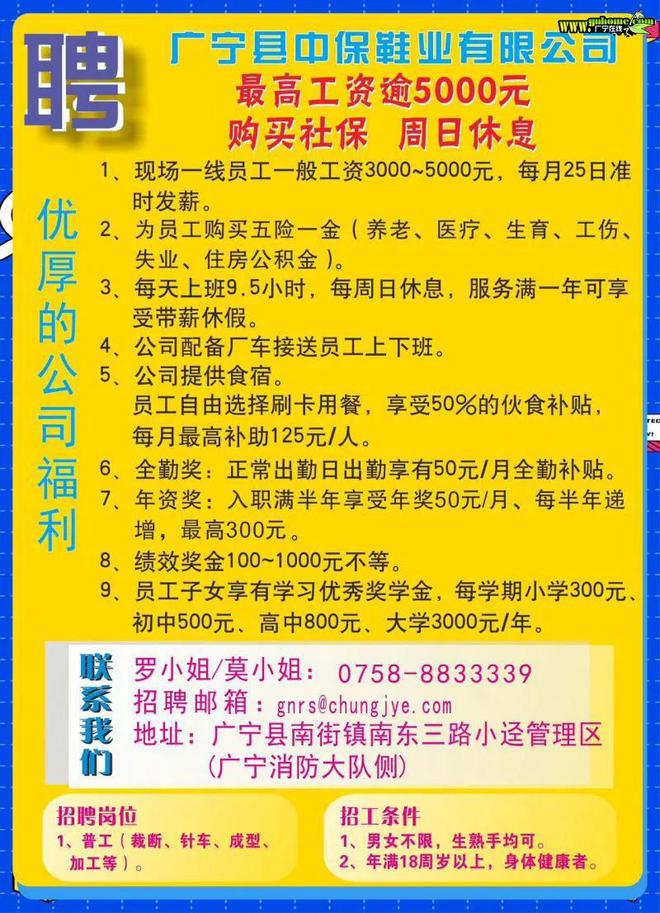 罗定最新招工信息及求职步骤指南