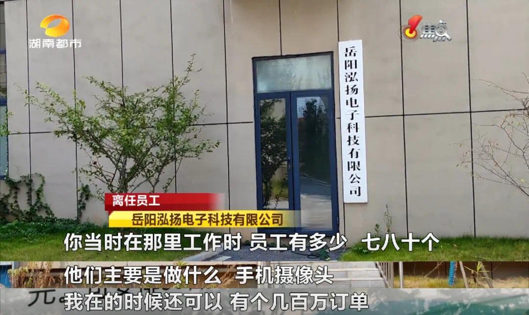 绵阳安和电子厂最新招聘，小巷中的隐藏宝藏，探寻职业新机遇！