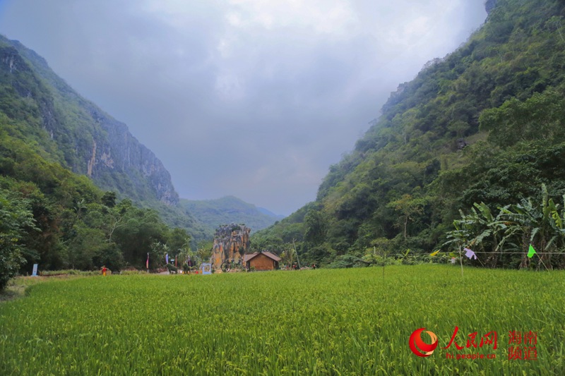 苗宏伟公示，自然美景的探索之旅开启
