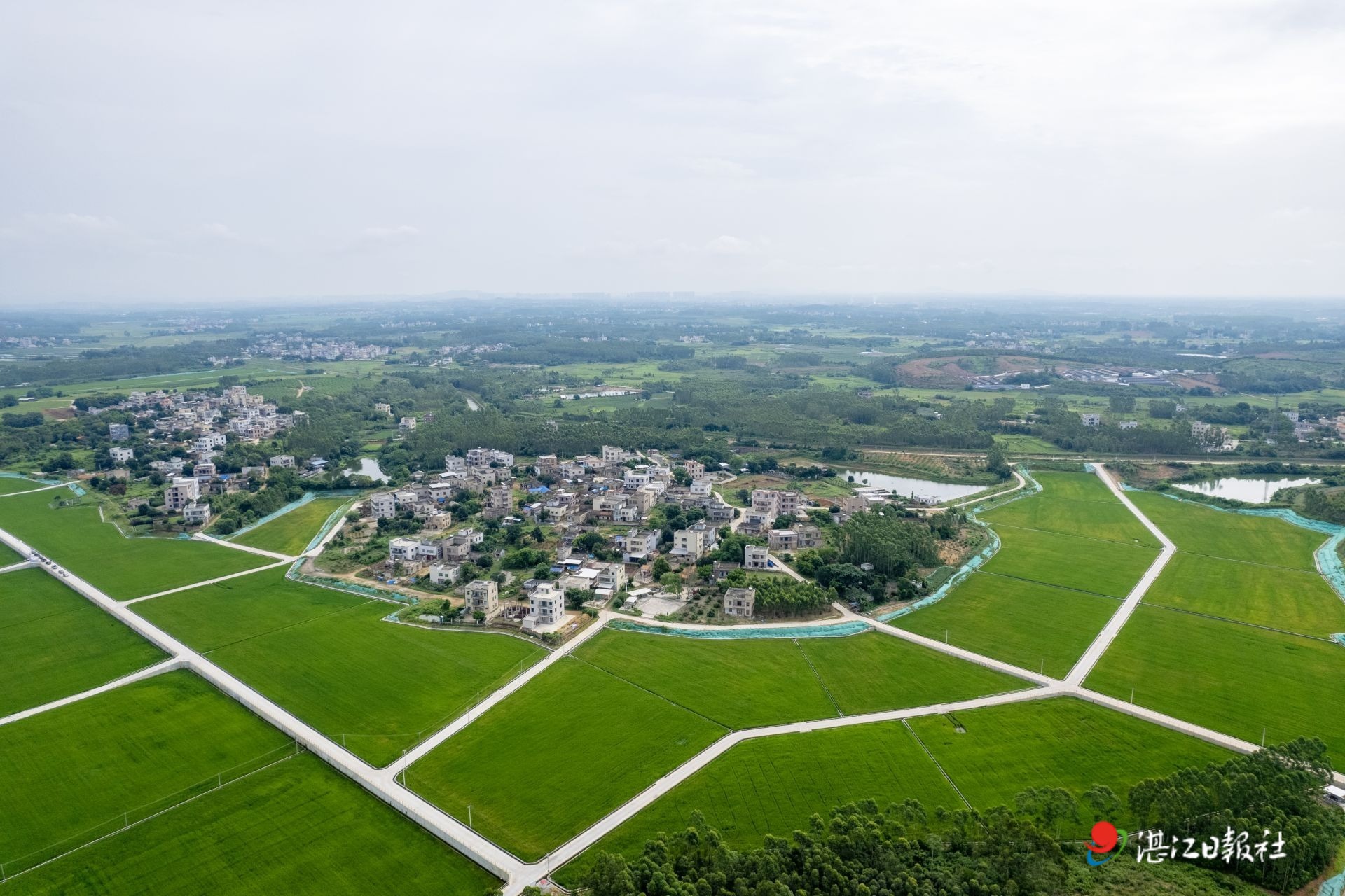 湛江遂溪最新土地出售，变化中的土地与人心